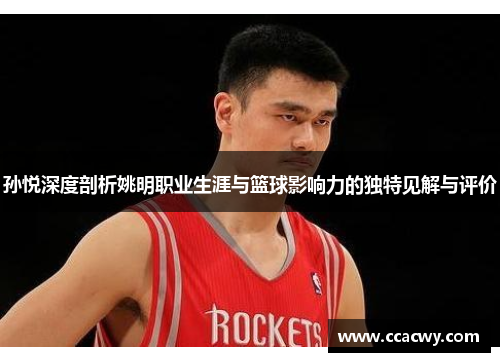 孙悦深度剖析姚明职业生涯与篮球影响力的独特见解与评价