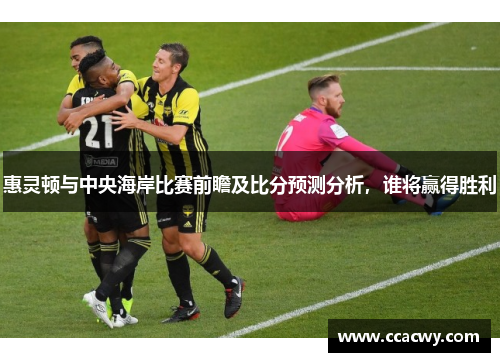 惠灵顿与中央海岸比赛前瞻及比分预测分析，谁将赢得胜利
