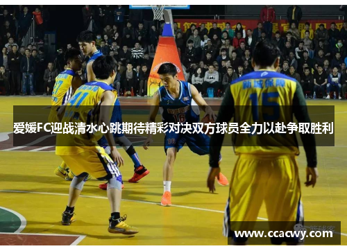 爱媛FC迎战清水心跳期待精彩对决双方球员全力以赴争取胜利